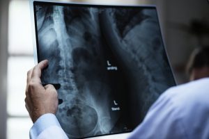 anatomy 3003099 340