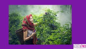 Do You Know Benefits Of Herbs In Women’s Life?