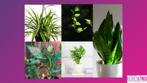 Serene Spaces Harness Positivity with Air-Purifying Foliage